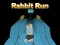 Cluiche Rabbit Run 3D ar líne