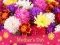 Cluiche 2019 Mother's Day Puzzle ar líne