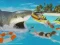 Cluiche La Shark ar líne