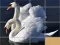 Cluiche Animals Slide Puzzle ar líne