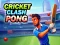 Cluiche Cricket Clash Pong ar líne