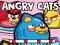 Cluiche Angry Cats ar líne