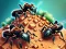 Cluiche Ant Colony ar líne