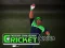 Cluiche Cricket Fielder Challenge ar líne