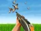 Cluiche Bird Hunting ar líne
