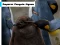Cluiche Emperor Penguin Jigsaw ar líne