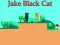 Cluiche Jake Black Cat ar líne