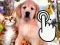 Cluiche Pets Clicker ar líne