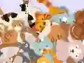 Cluiche Find The Kitty ar líne