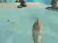 Cluiche Shark Simulator Beach Killer ar líne