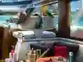 Cluiche Caribbean Crime ar líne