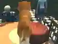 Cluiche Dog Simulator: Puppy Craft ar líne