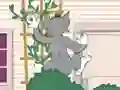 Cluiche Tom und Jerry: Wasserbomben Wahnsinn ar líne