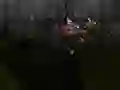 Cluiche Zombie Survival ar líne
