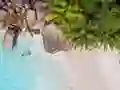 Cluiche Seychelles Beach Jigsaw Puzzle ar líne