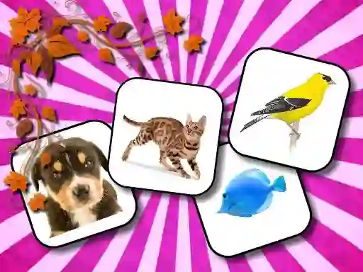 Cluiche Animals Memory ar líne