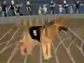 Cluiche Crazy Dog Racing Fever ar líne
