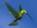 Cluiche Hummingbird House Escape ar líne