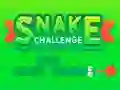 Cluiche Snake Challenge ar líne
