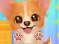 Cluiche Adopt Your Pet Puppy ar líne