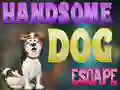 Cluiche Handsome Dog Escape ar líne
