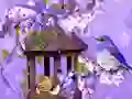 Cluiche Wonderful Humming Bird Land Escape ar líne