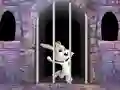 Cluiche Victory Rabbit Escape ar líne