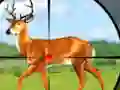 Cluiche Wild Hunt Hunting Games 3D ar líne