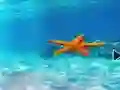Cluiche Escape From Underwater Starfish ar líne