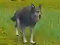 Cluiche The Wolf: Wild Animal Simulator ar líne