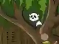 Cluiche Panda Jungle Escape ar líne