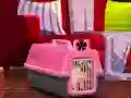 Cluiche Escape The Small Pug ar líne