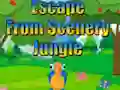 Cluiche Escape from Scenery Jungle ar líne
