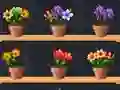 Cluiche Good Flower Master ar líne