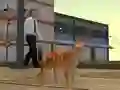 Cluiche Cat City Simulator ar líne