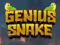 Cluiche Genius Snake ar líne