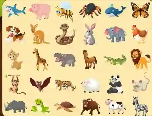 Cluiche Discover Animals ar líne