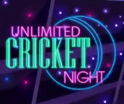 Cluiche Unlimited Cricket Night ar líne