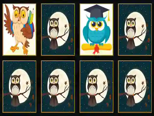 Cluiche Cute Owl Memory ar líne