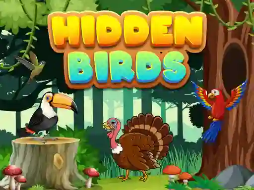 Cluiche Hidden Birds ar líne