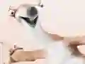 Cluiche Ice Age 4: Coloring ar líne