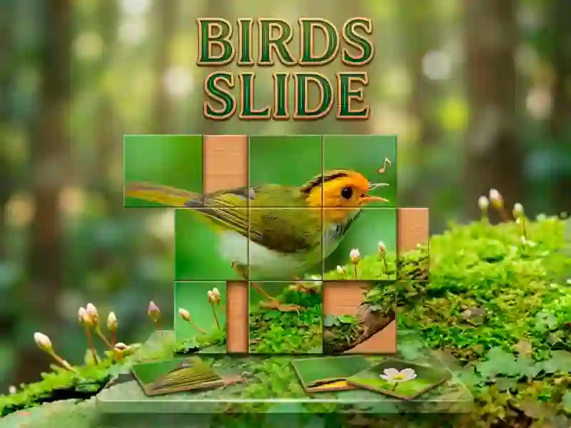 Cluiche Birds Slide ar líne