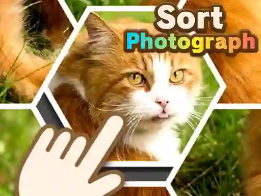 Cluiche Sort Photograph ar líne