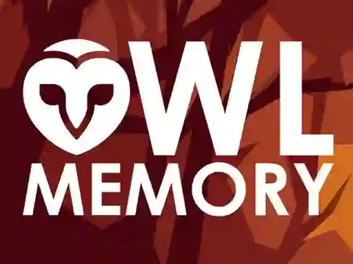 Cluiche Owl Memory ar líne