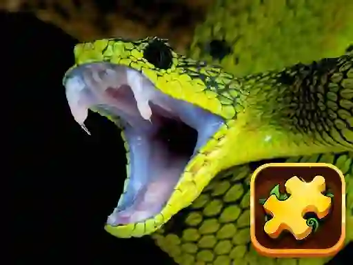 Cluiche Snake Puzzle Challenge ar líne
