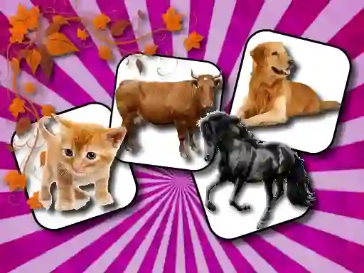 Cluiche Domestic Animal Memory Challenge ar líne