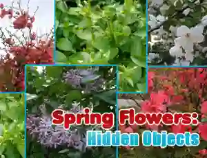 Cluiche Spring Flowers: Hidden Objects ar líne