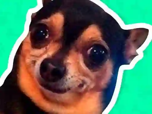 Cluiche What meme dog are you ? ar líne
