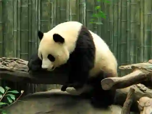 Cluiche Pandas Puzzle ar líne