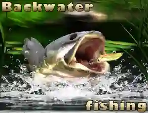Cluiche Backwater Fishing ar líne